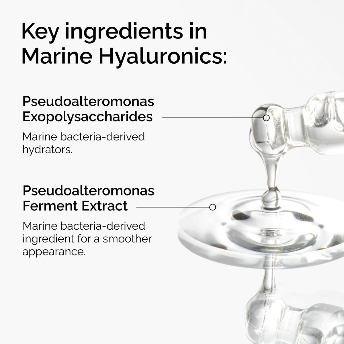 marine-hyaluronics-y1 FY25-D41247-ORD-Web-PDP-Marine-Hya-1x1-EN-2a.jpg