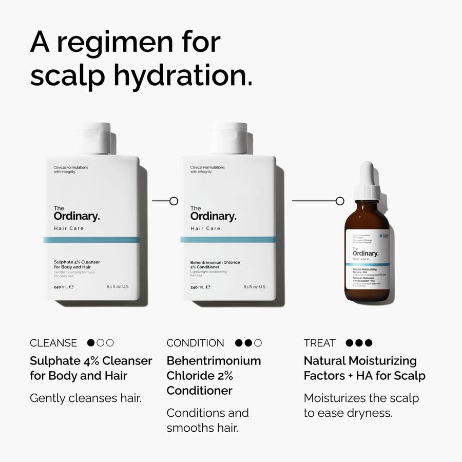 natural-moisturizing-factors-ha-for-scalp-p1 FY25-D41247-ORD-Web-PDP-NMF-HA-Scalp-1x1-EN-5.jpg