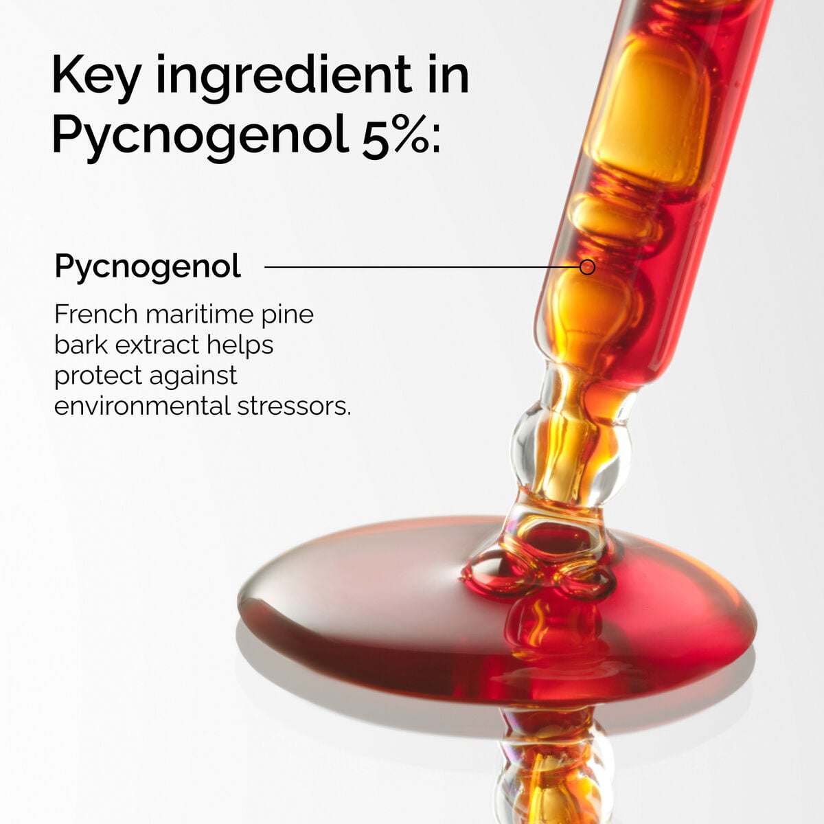 pycnogenol-5-z8 FY25-D41247-ORD-Web-PDP-Pyc-5pct-1x1-EN-2a.jpg